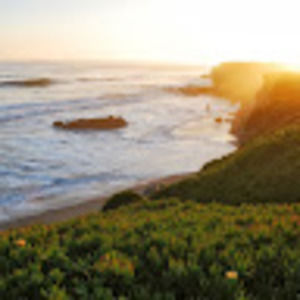 Meet your Posher, Liz